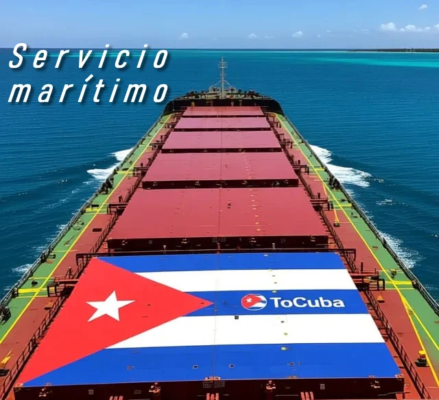 serviciomarítimo-convertido-de-png